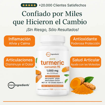 Cúrcuma curcumina 95