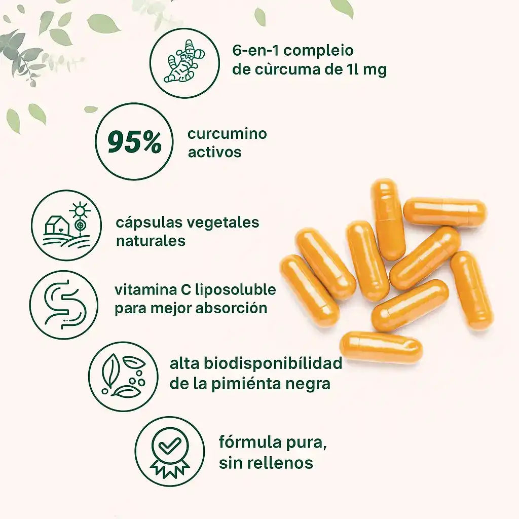 Cúrcuma curcumina 95